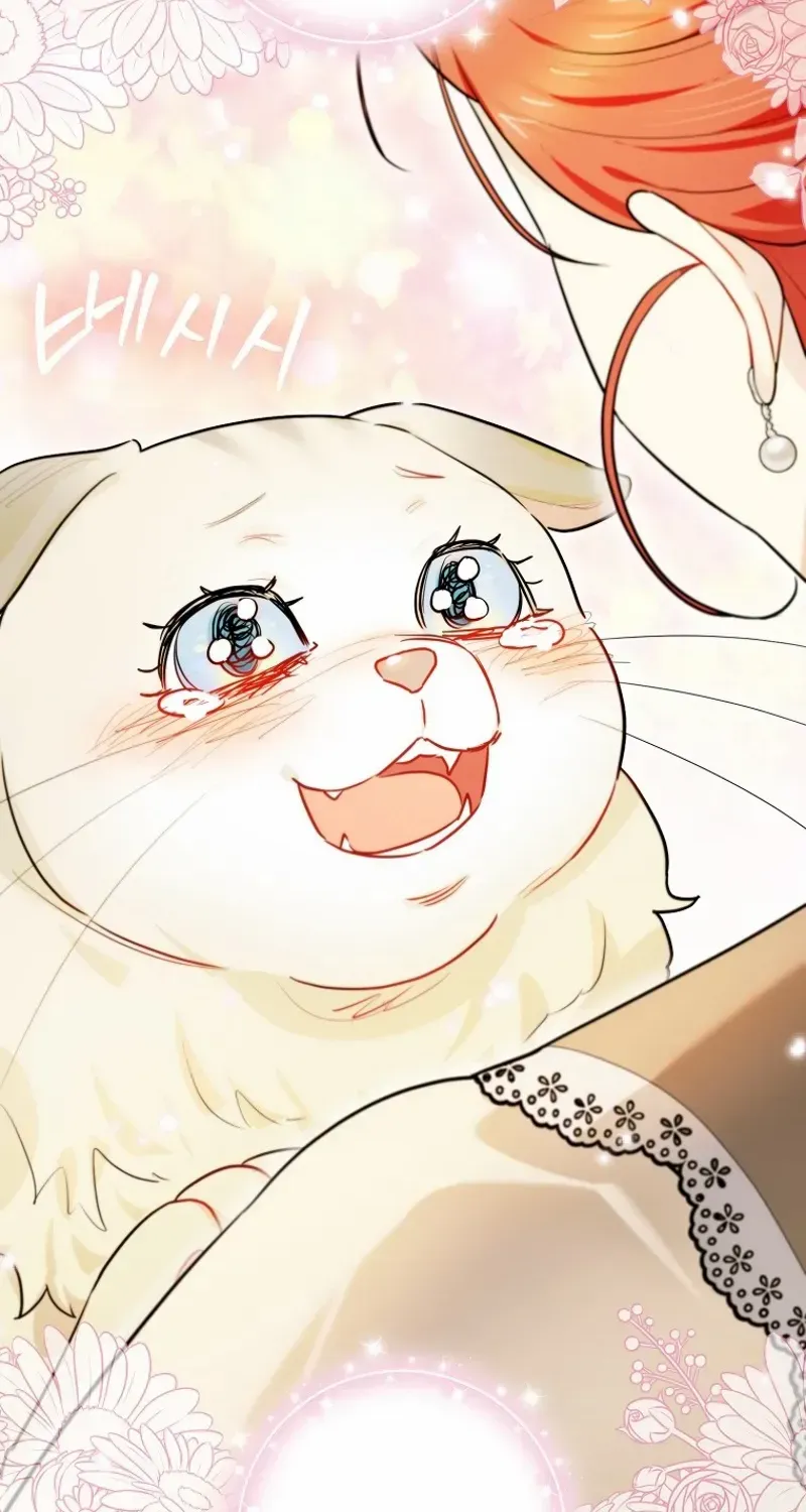 Even Though I Transmigrated as a Villainess, I’d Rather Raise a Cat Chapter 47 page 67 - 
