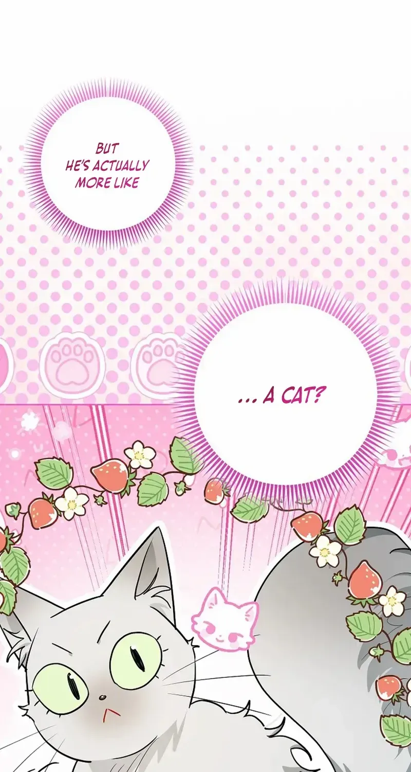 Even Though I Transmigrated as a Villainess, I’d Rather Raise a Cat Chapter 48 page 25 - 