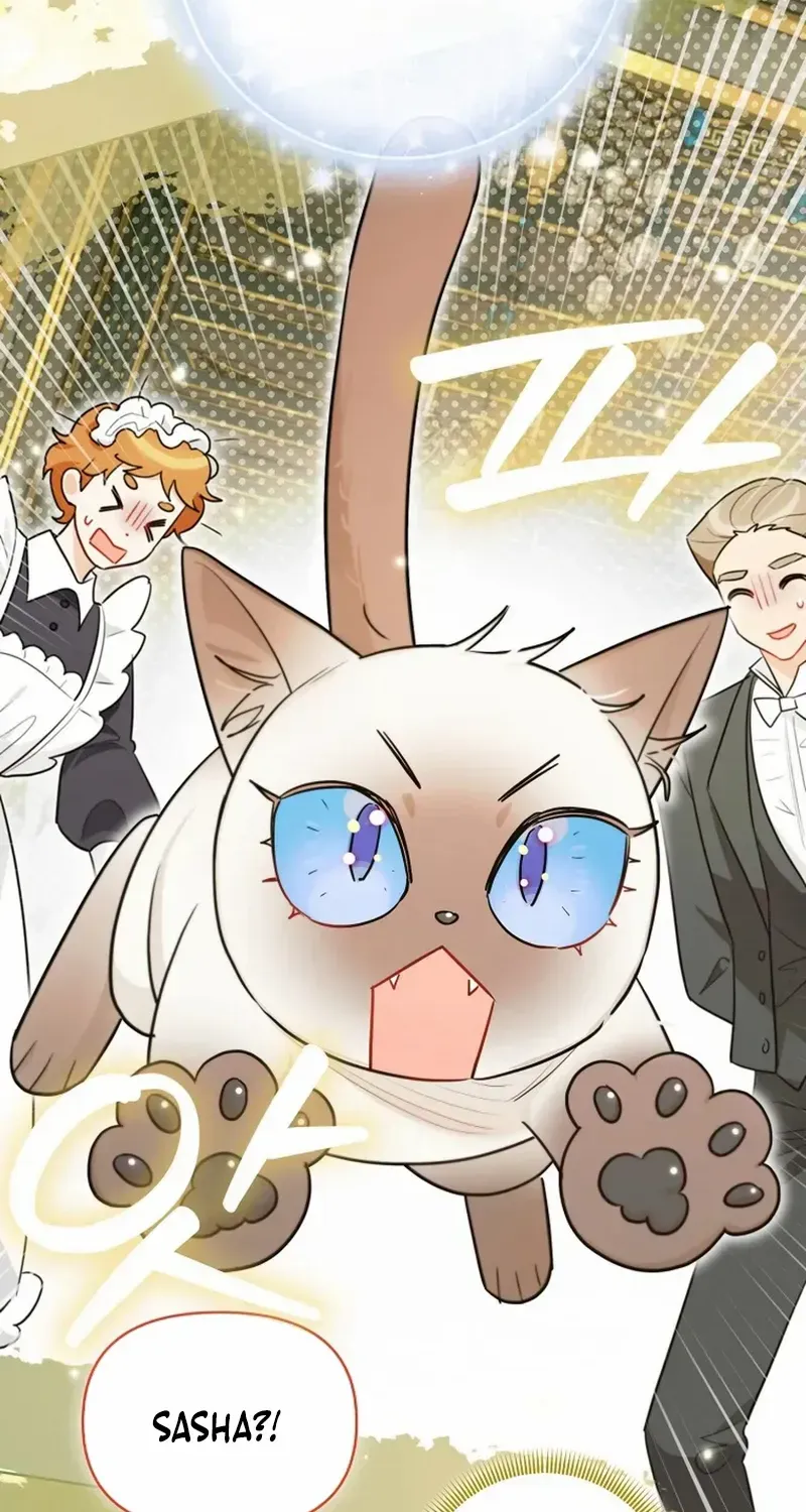 Even Though I Transmigrated as a Villainess, I’d Rather Raise a Cat Chapter 48 page 33 - 