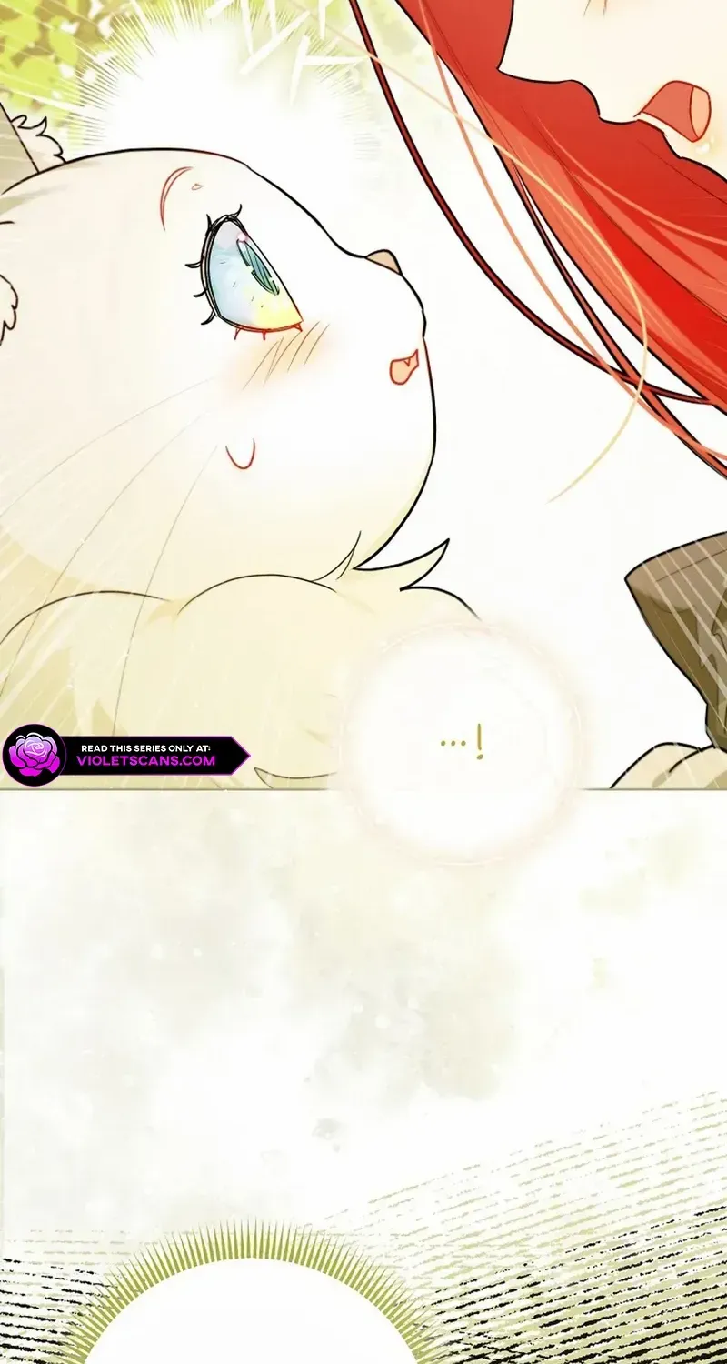 Even Though I Transmigrated as a Villainess, I’d Rather Raise a Cat Chapter 48 page 6 - 