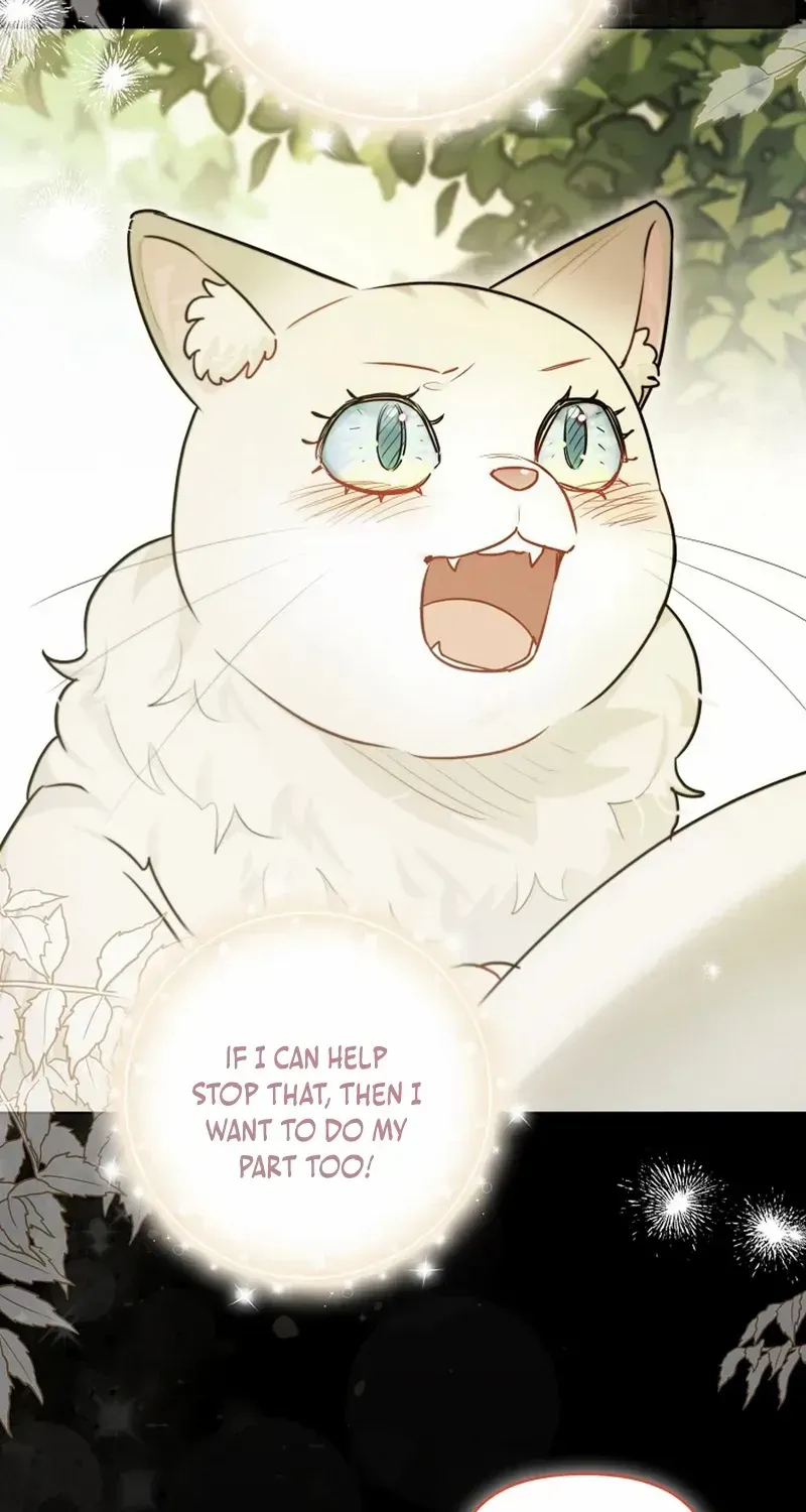 Even Though I Transmigrated as a Villainess, I’d Rather Raise a Cat Chapter 48 page 53 - 