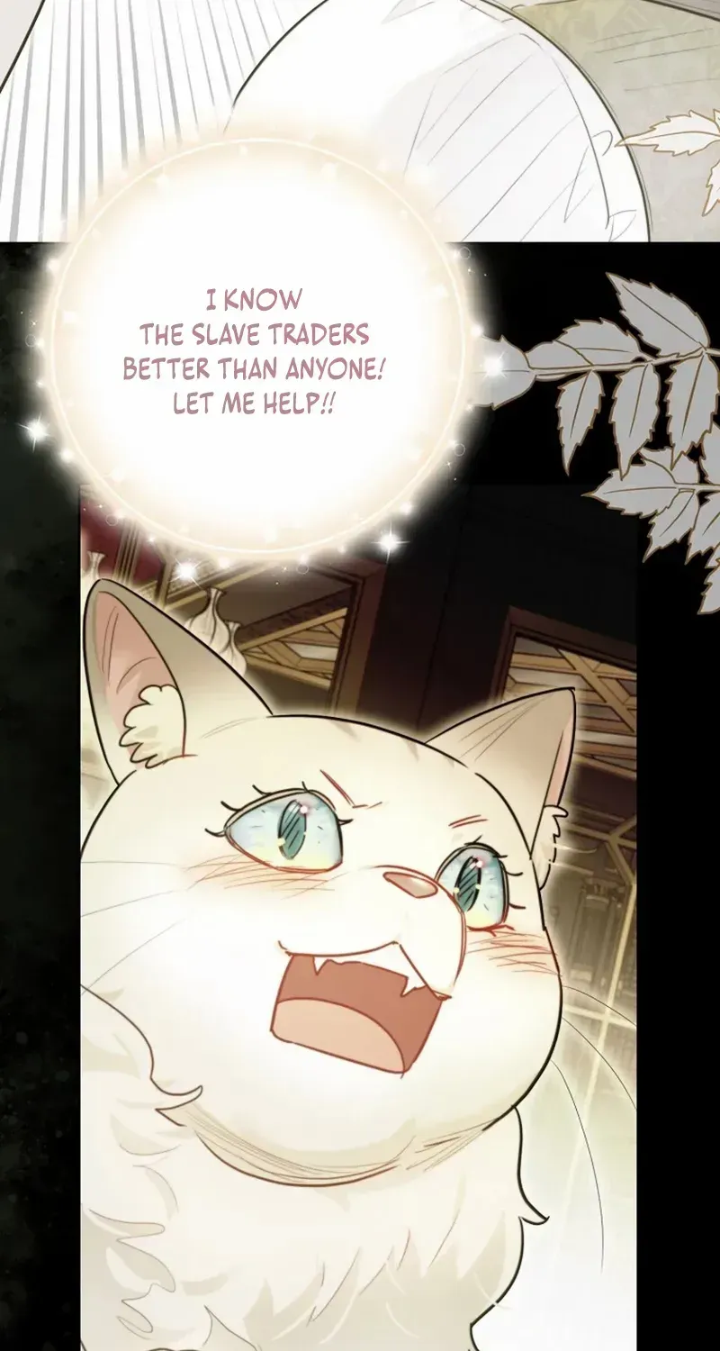 Even Though I Transmigrated as a Villainess, I’d Rather Raise a Cat Chapter 48 page 56 - 