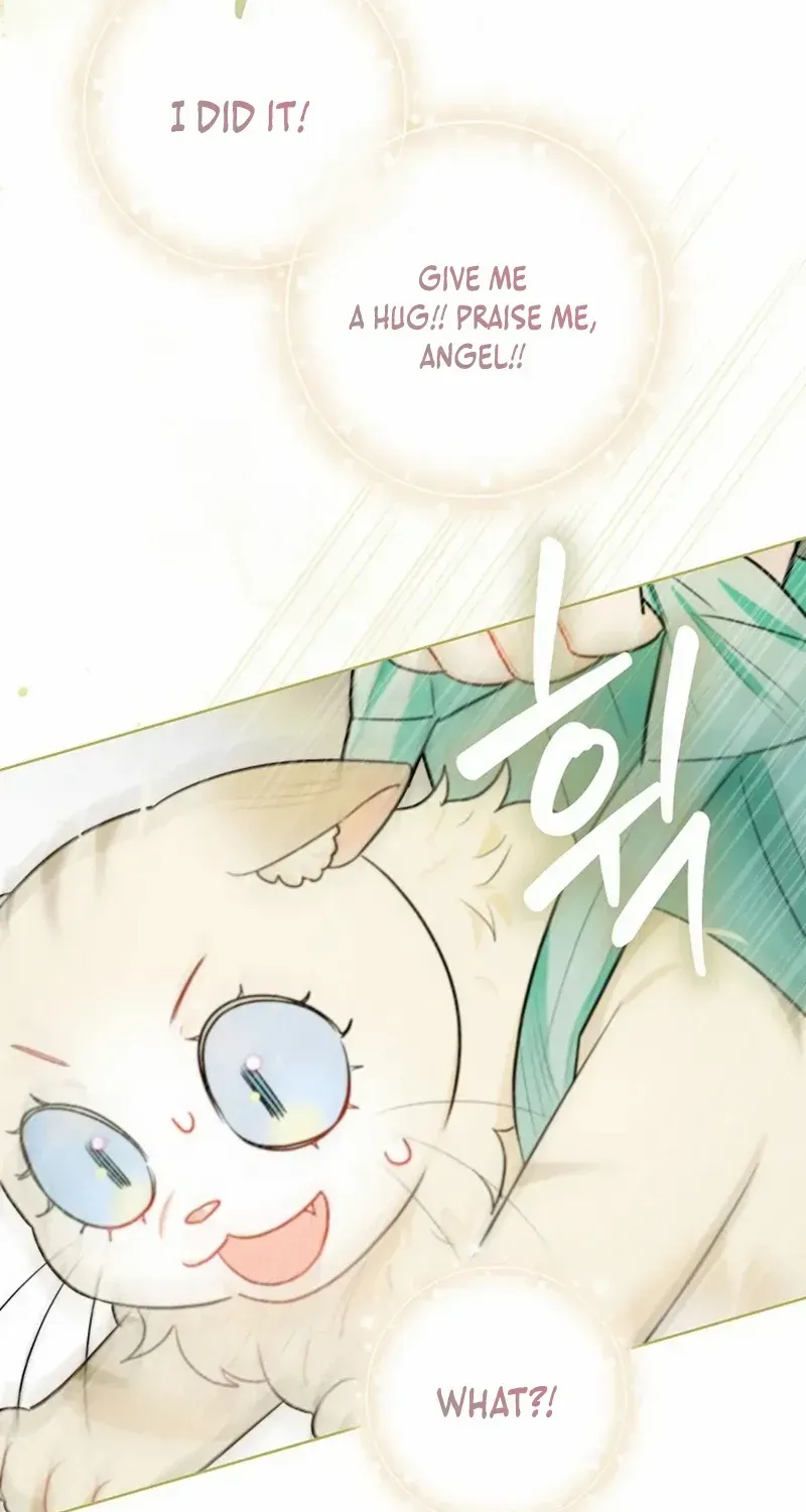 Even Though I Transmigrated as a Villainess, I’d Rather Raise a Cat Chapter 48 page 69 - 
