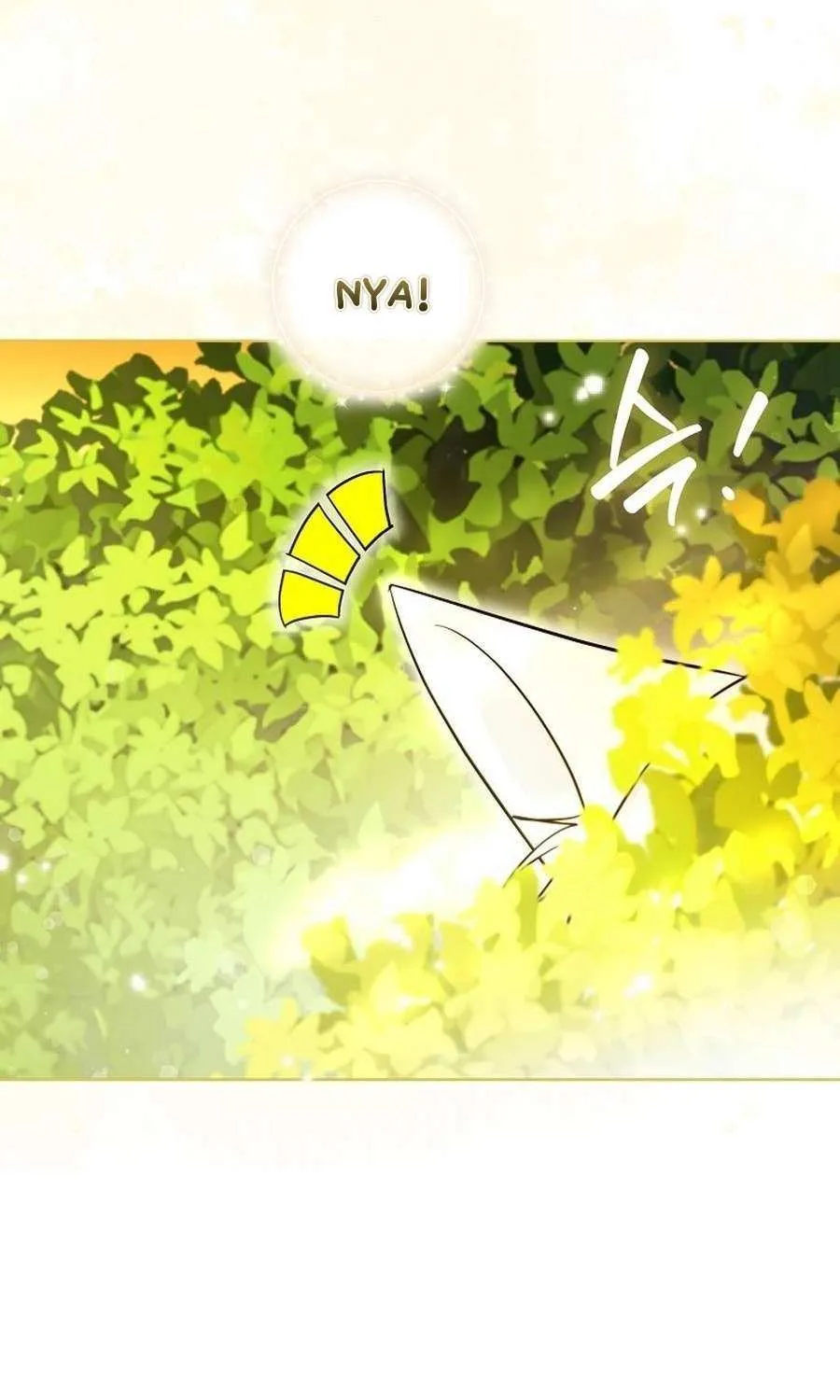 Even Though I Transmigrated as a Villainess, I’d Rather Raise a Cat Chapter 49 page 82 - 