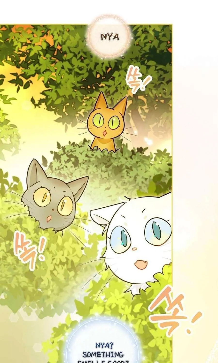 Even Though I Transmigrated as a Villainess, I’d Rather Raise a Cat Chapter 49 page 83 - 