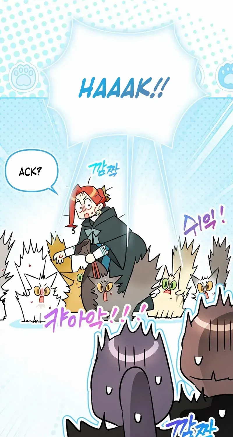 Even Though I Transmigrated as a Villainess, I’d Rather Raise a Cat Chapter 50 page 13 - 