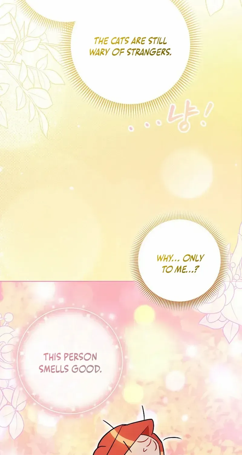 Even Though I Transmigrated as a Villainess, I’d Rather Raise a Cat Chapter 50 page 16 - 