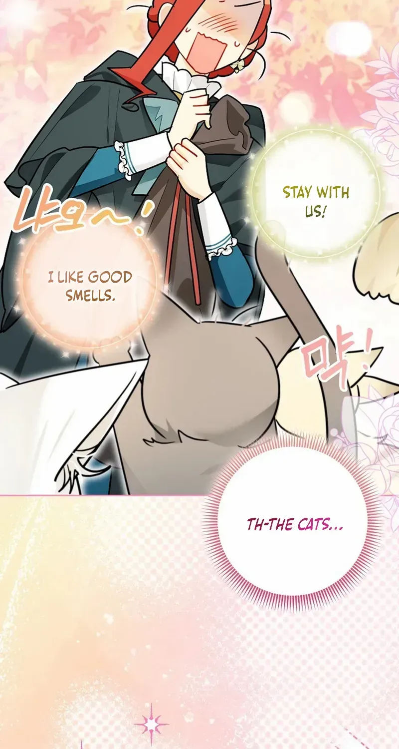 Even Though I Transmigrated as a Villainess, I’d Rather Raise a Cat Chapter 50 page 17 - 