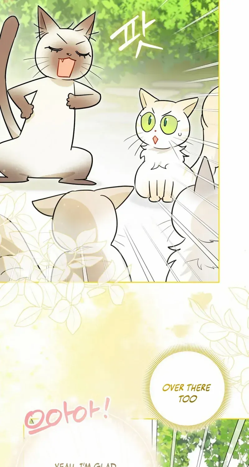 Even Though I Transmigrated as a Villainess, I’d Rather Raise a Cat Chapter 50 page 43 - 