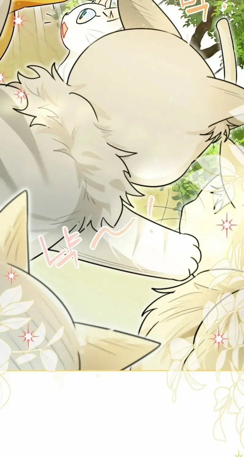 Even Though I Transmigrated as a Villainess, I’d Rather Raise a Cat Chapter 50 page 46 - 