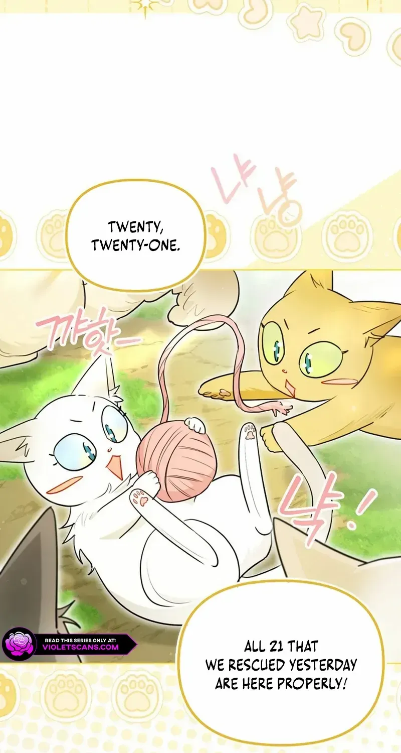 Even Though I Transmigrated as a Villainess, I’d Rather Raise a Cat Chapter 50 page 48 - 