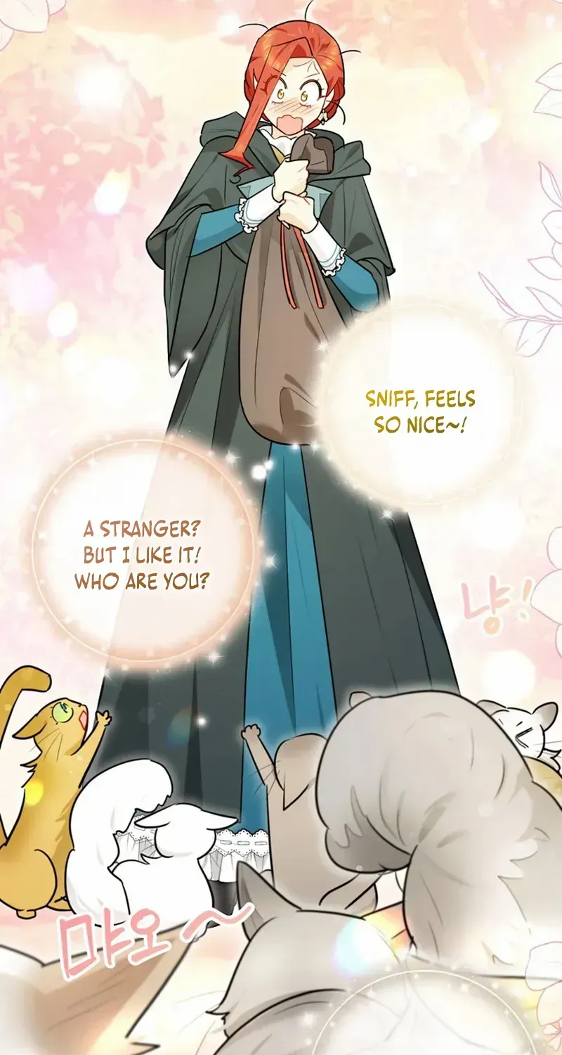 Even Though I Transmigrated as a Villainess, I’d Rather Raise a Cat Chapter 50 page 6 - 