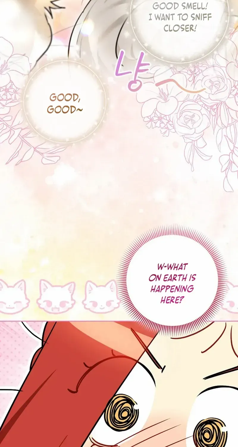 Even Though I Transmigrated as a Villainess, I’d Rather Raise a Cat Chapter 50 page 7 - 