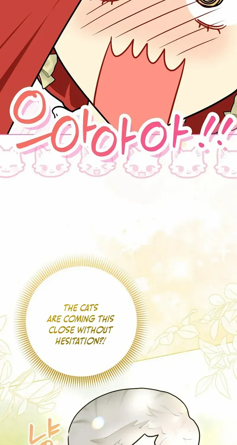 Even Though I Transmigrated as a Villainess, I’d Rather Raise a Cat Chapter 50 page 8 - 