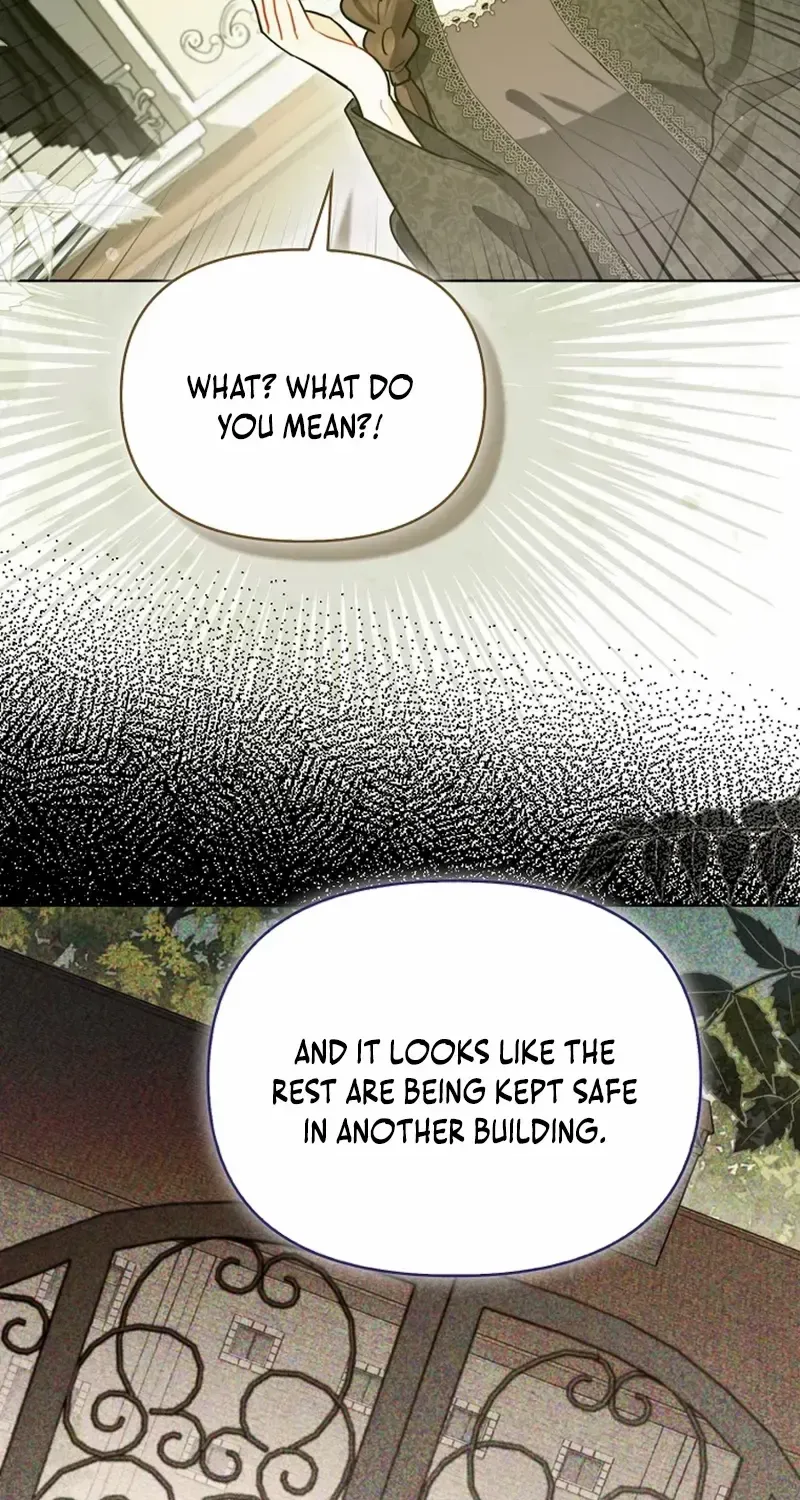 Even Though I Transmigrated as a Villainess, I’d Rather Raise a Cat Chapter 54 page 12 - 