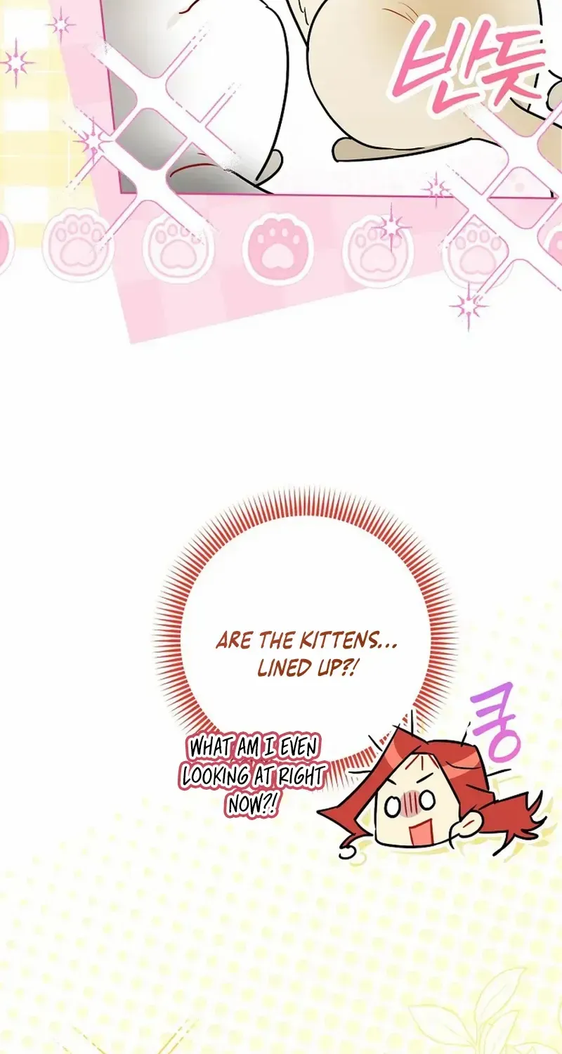 Even Though I Transmigrated as a Villainess, I’d Rather Raise a Cat Chapter 54 page 61 - 