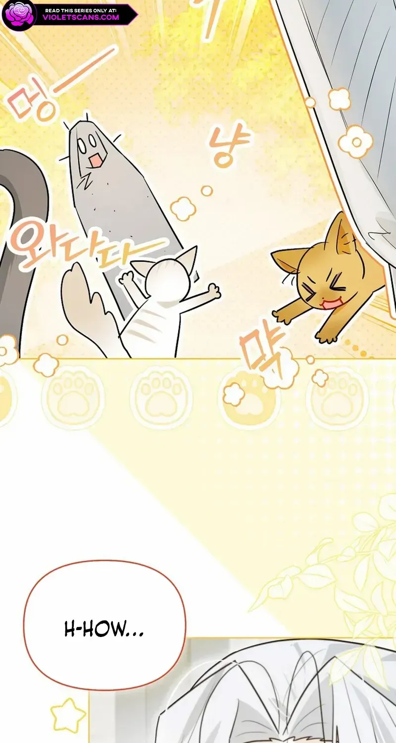 Even Though I Transmigrated as a Villainess, I’d Rather Raise a Cat Chapter 54 page 66 - 