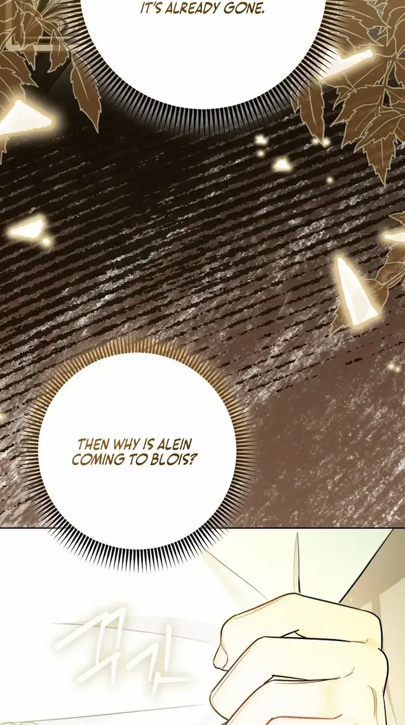 Even Though I Transmigrated as a Villainess, I’d Rather Raise a Cat Chapter 57 page 11 - 
