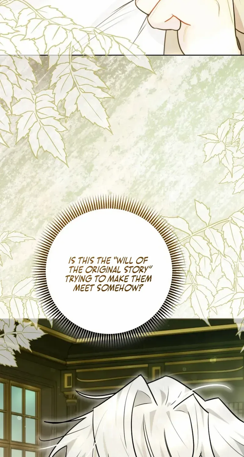 Even Though I Transmigrated as a Villainess, I’d Rather Raise a Cat Chapter 57 page 12 - 