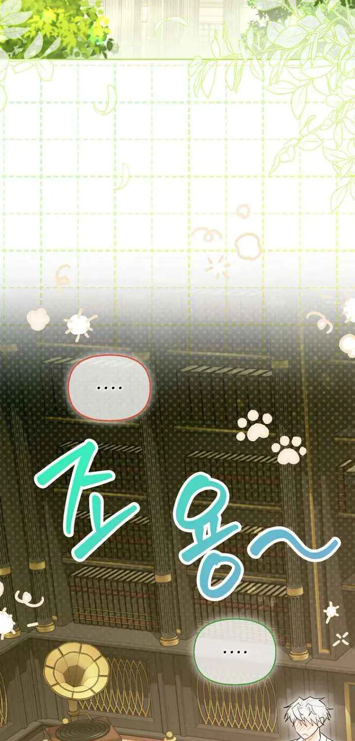 Even Though I Transmigrated as a Villainess, I’d Rather Raise a Cat Chapter 63 page 3 - 