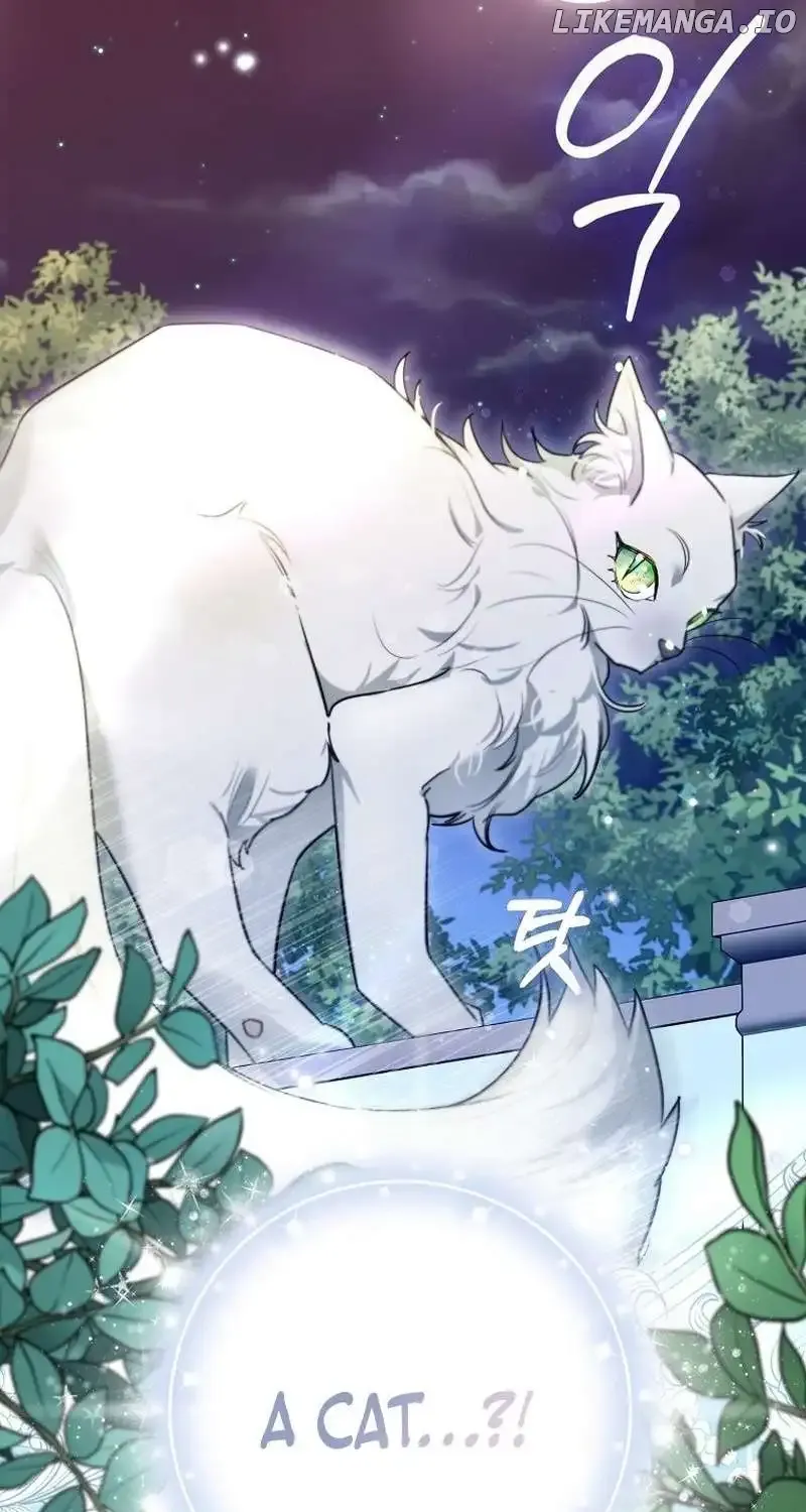 Even Though I Transmigrated as a Villainess, I’d Rather Raise a Cat Chapter 7 page 101 - 