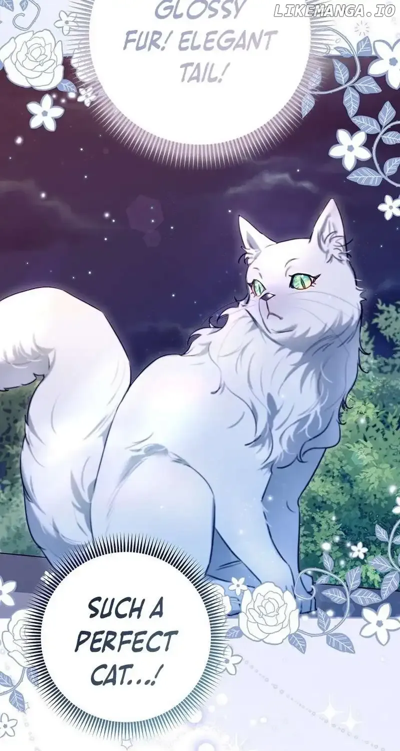 Even Though I Transmigrated as a Villainess, I’d Rather Raise a Cat Chapter 7 page 105 - 