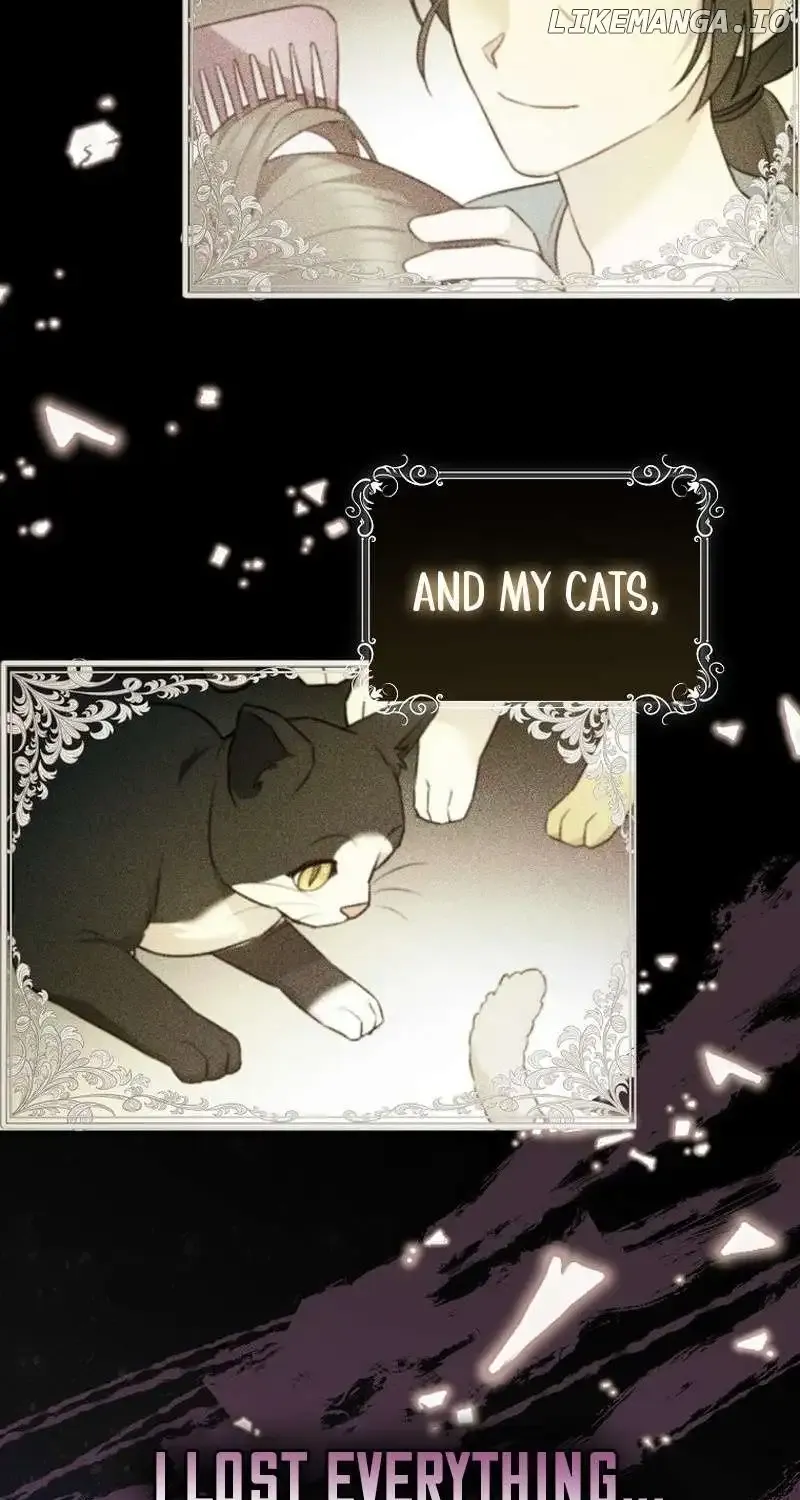 Even Though I Transmigrated as a Villainess, I’d Rather Raise a Cat Chapter 7 page 91 - 