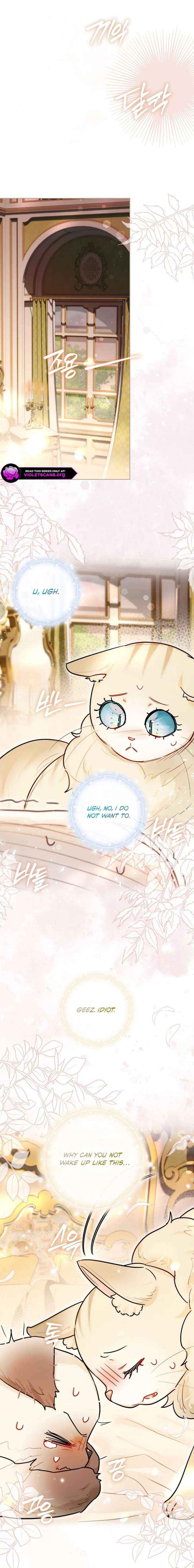 Even Though I Transmigrated as a Villainess, I’d Rather Raise a Cat Chapter 72 page 3 - 