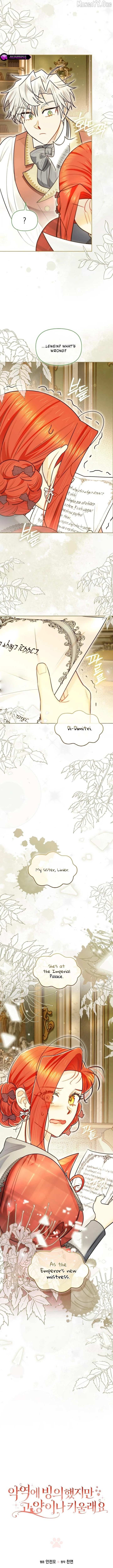 Even Though I Transmigrated as a Villainess, I’d Rather Raise a Cat Chapter 79 page 12 - 
