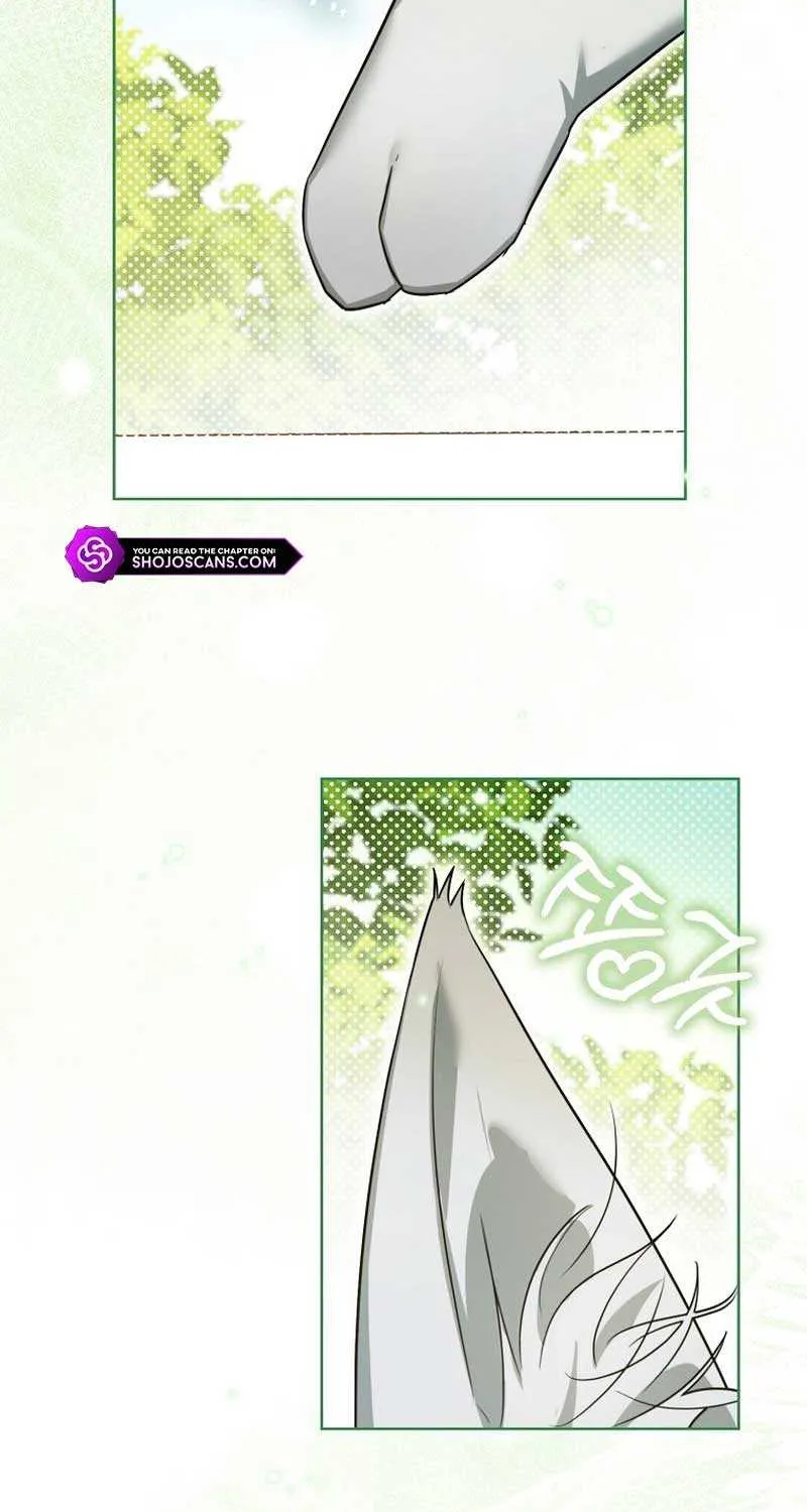 Even Though I Transmigrated as a Villainess, I’d Rather Raise a Cat Chapter 8 page 35 - 