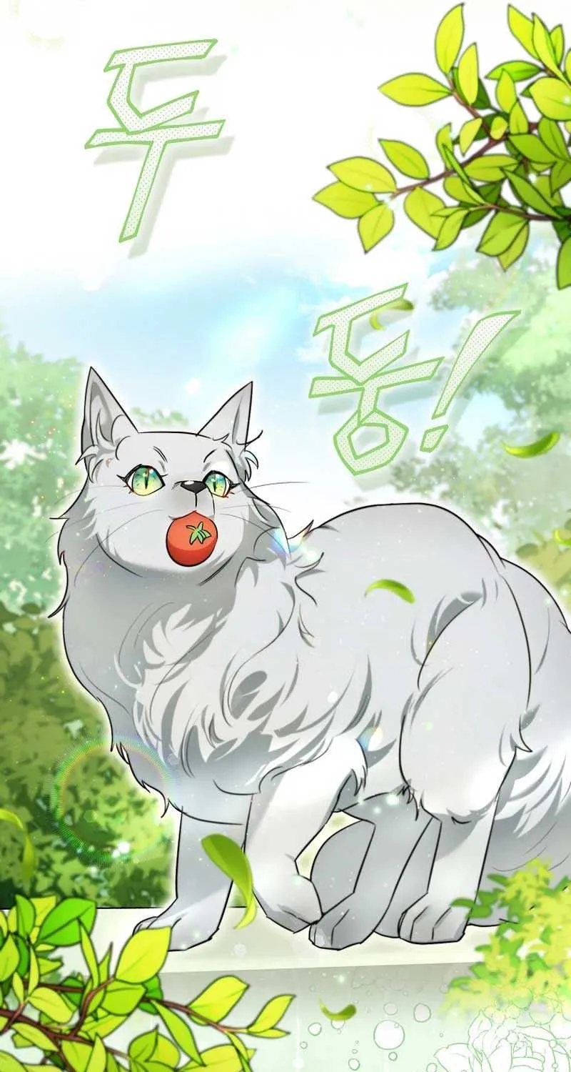 Even Though I Transmigrated as a Villainess, I’d Rather Raise a Cat Chapter 8 page 42 - 