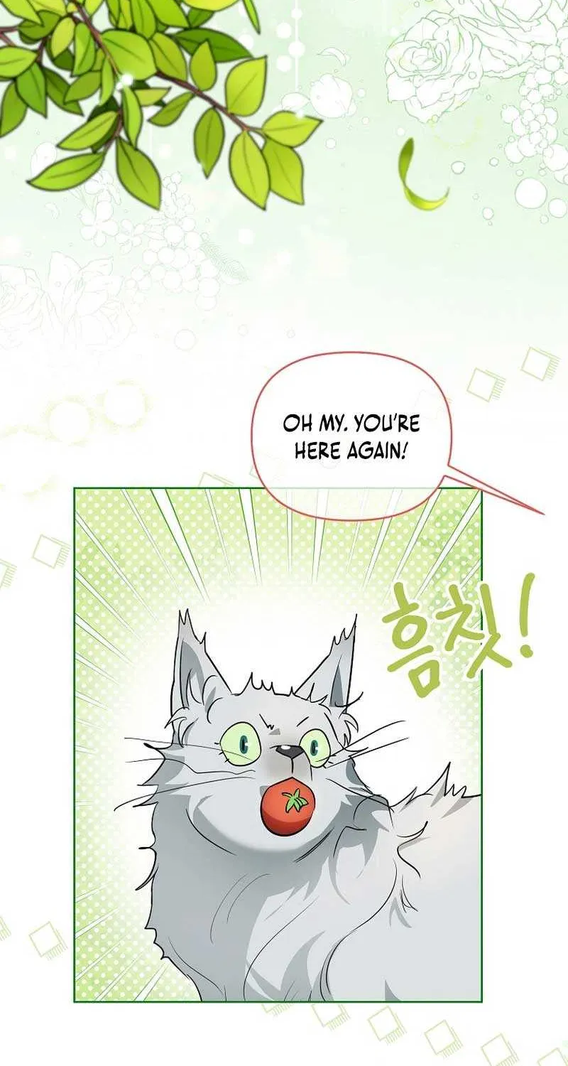 Even Though I Transmigrated as a Villainess, I’d Rather Raise a Cat Chapter 8 page 43 - 