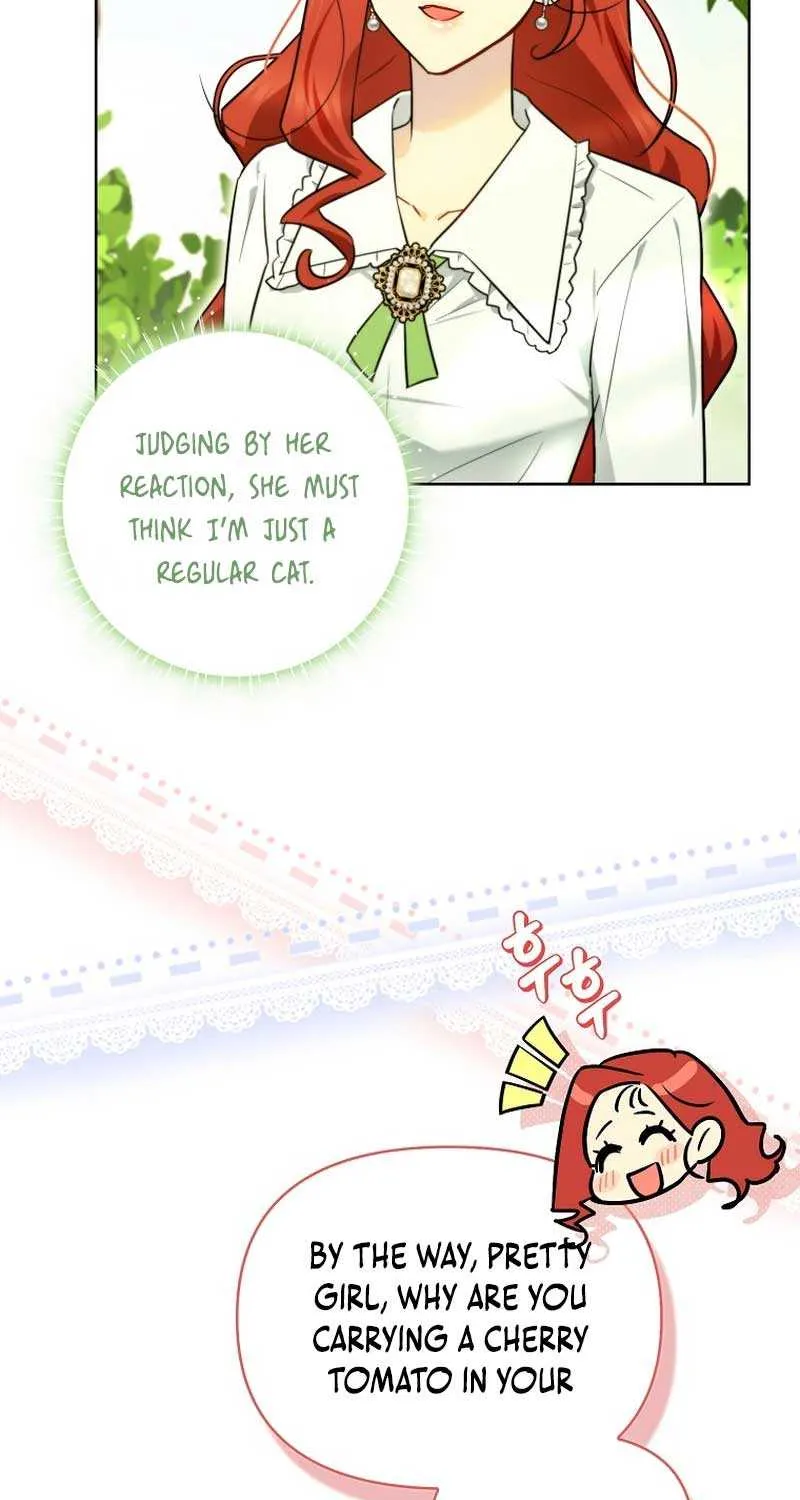 Even Though I Transmigrated as a Villainess, I’d Rather Raise a Cat Chapter 8 page 46 - 