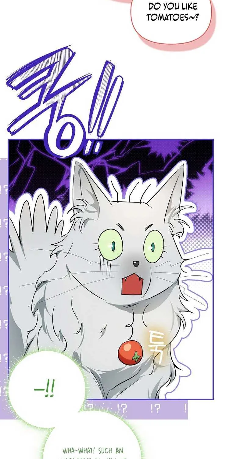 Even Though I Transmigrated as a Villainess, I’d Rather Raise a Cat Chapter 8 page 47 - 