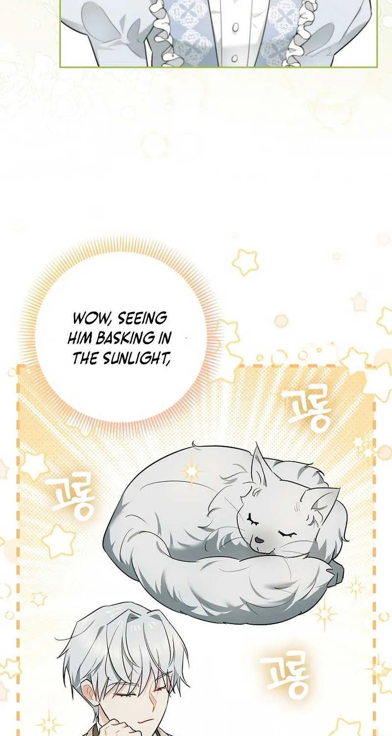 Even Though I Transmigrated as a Villainess, I’d Rather Raise a Cat Chapter 8 page 51 - 