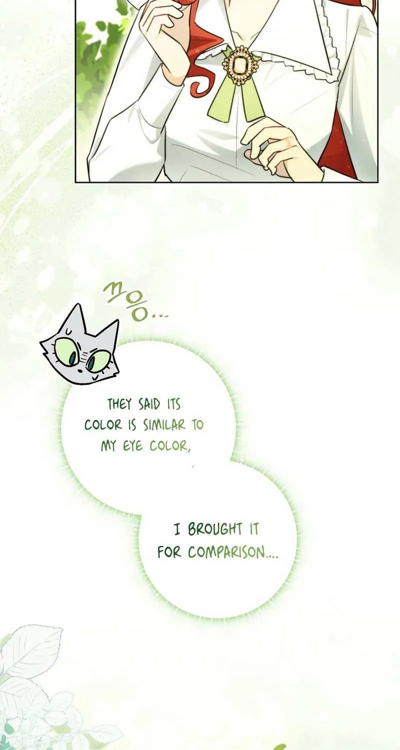 Even Though I Transmigrated as a Villainess, I’d Rather Raise a Cat Chapter 8 page 58 - 