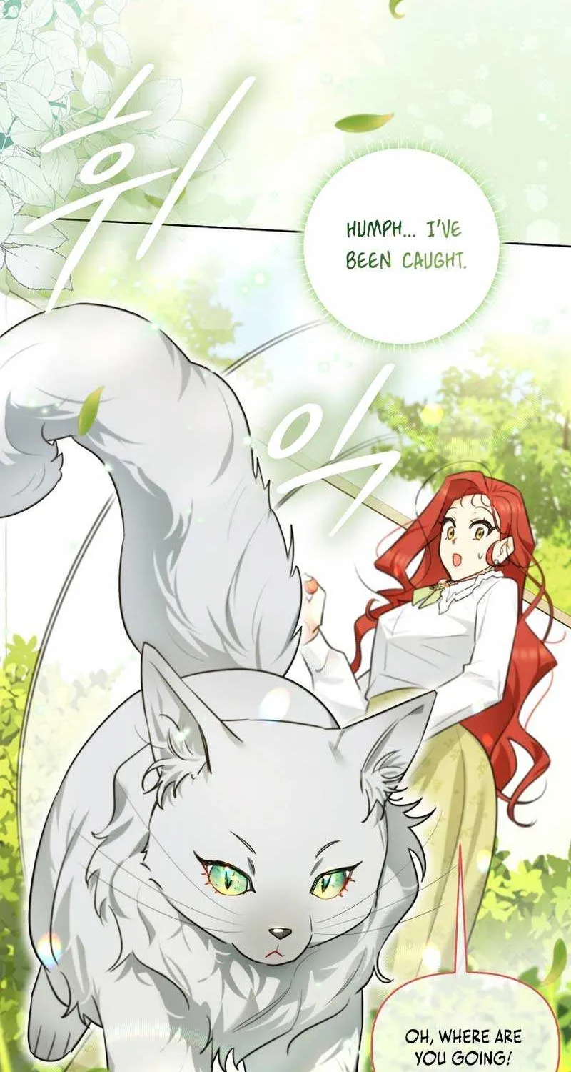 Even Though I Transmigrated as a Villainess, I’d Rather Raise a Cat Chapter 8 page 59 - 