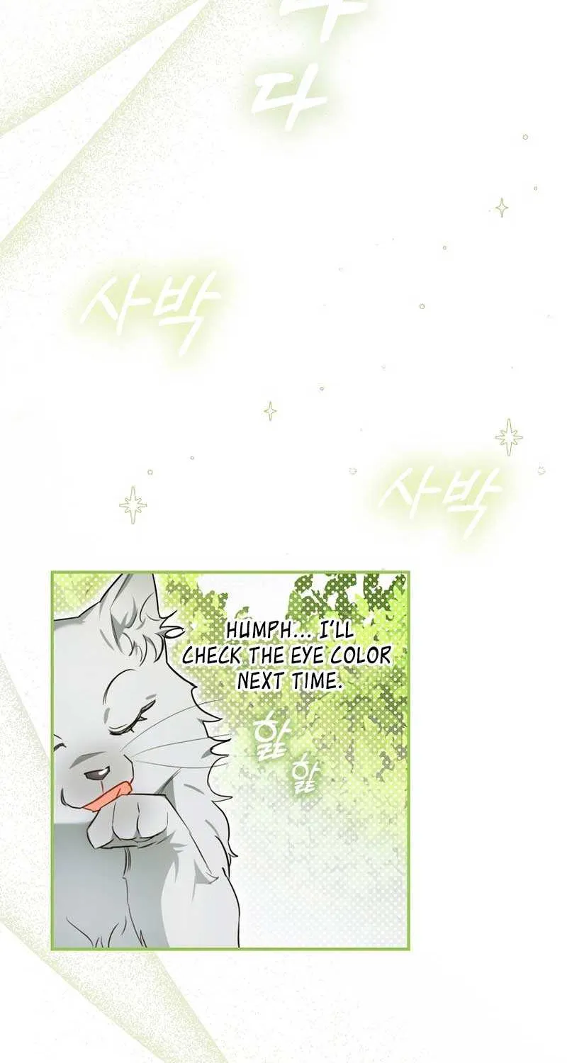 Even Though I Transmigrated as a Villainess, I’d Rather Raise a Cat Chapter 8 page 61 - 