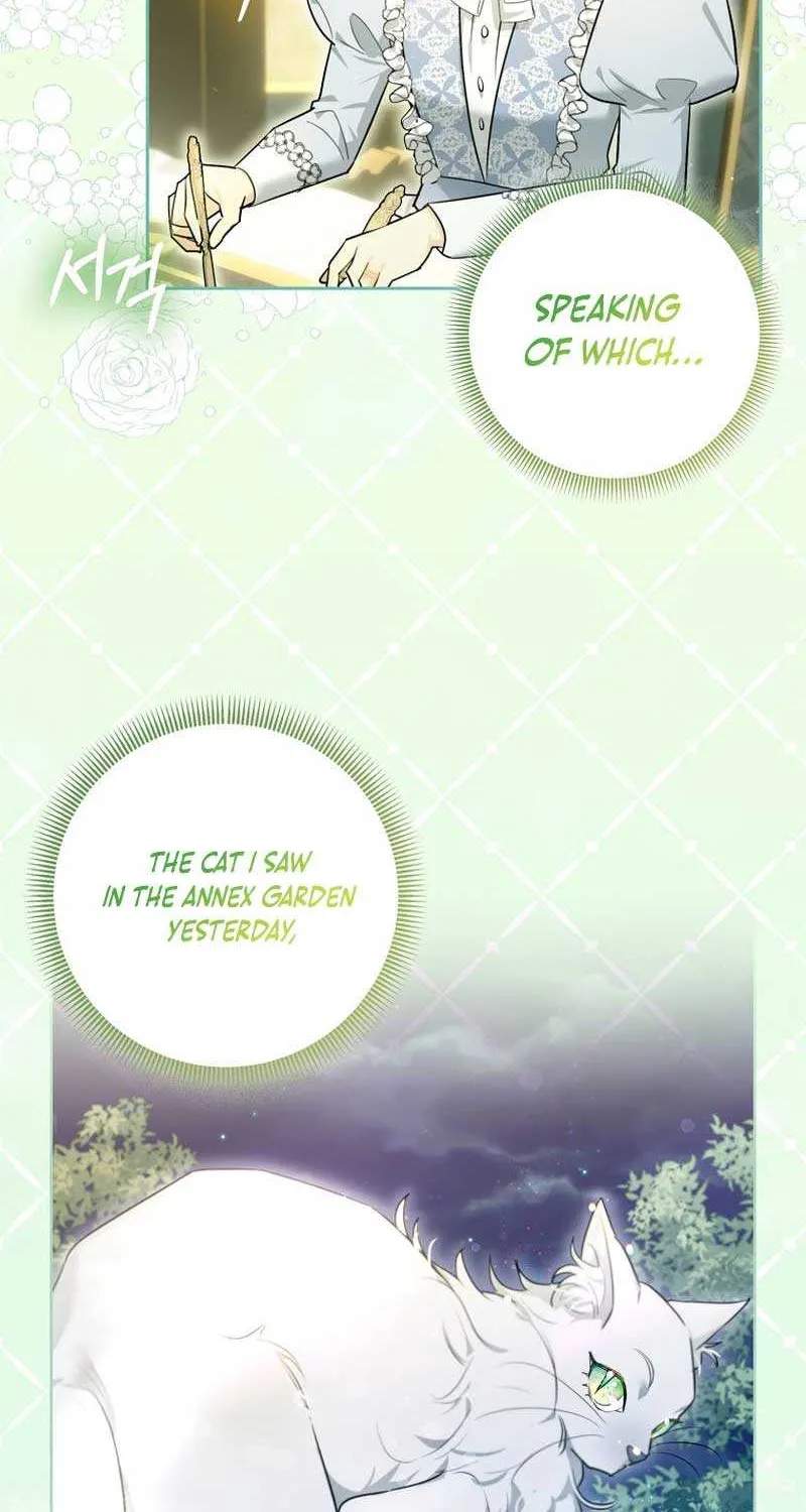 Even Though I Transmigrated as a Villainess, I’d Rather Raise a Cat Chapter 8 page 66 - 