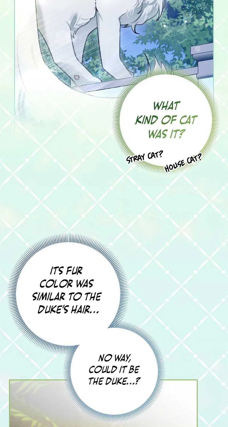 Even Though I Transmigrated as a Villainess, I’d Rather Raise a Cat Chapter 8 page 67 - 
