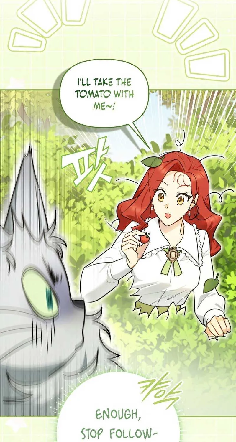 Even Though I Transmigrated as a Villainess, I’d Rather Raise a Cat Chapter 8 page 70 - 