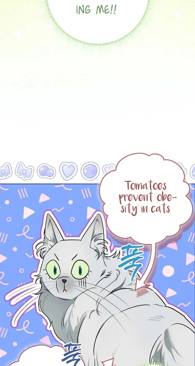 Even Though I Transmigrated as a Villainess, I’d Rather Raise a Cat Chapter 8 page 71 - 