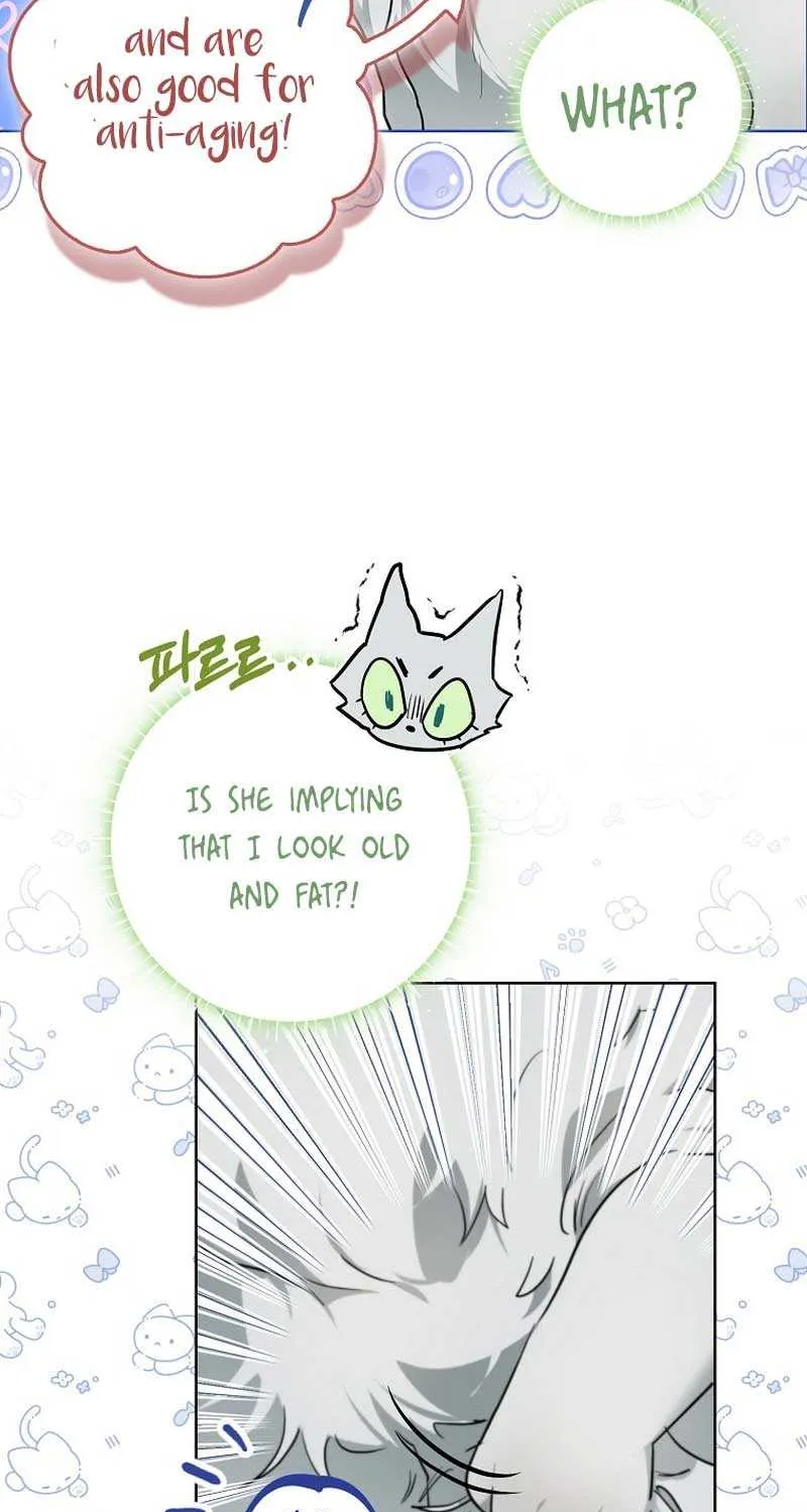 Even Though I Transmigrated as a Villainess, I’d Rather Raise a Cat Chapter 8 page 72 - 