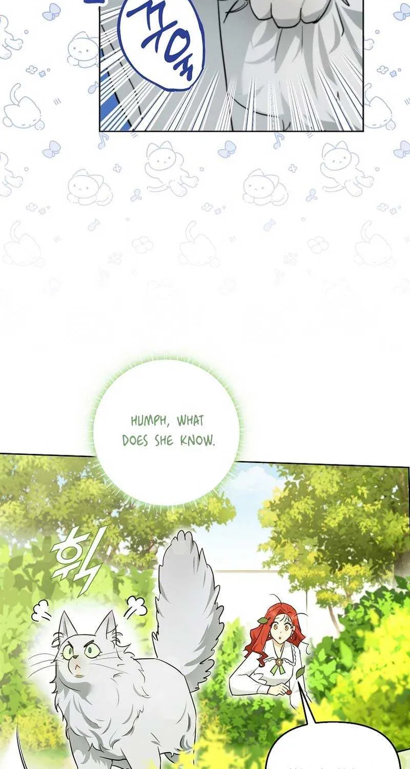 Even Though I Transmigrated as a Villainess, I’d Rather Raise a Cat Chapter 8 page 73 - 