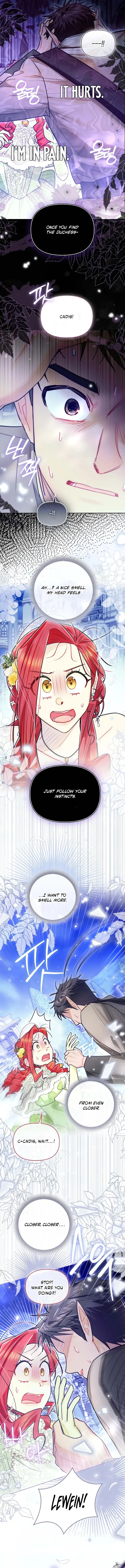Even Though I Transmigrated as a Villainess, I’d Rather Raise a Cat Chapter 85 page 10 - 