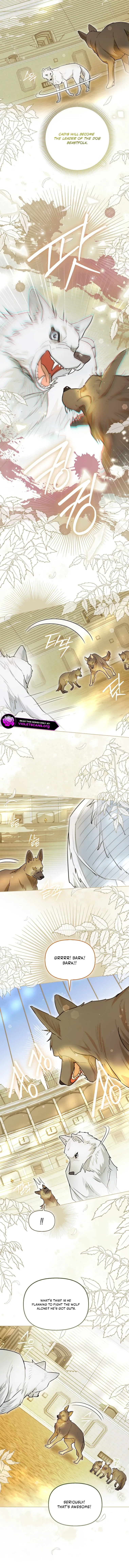 Even Though I Transmigrated as a Villainess, I’d Rather Raise a Cat Chapter 89 page 9 - 
