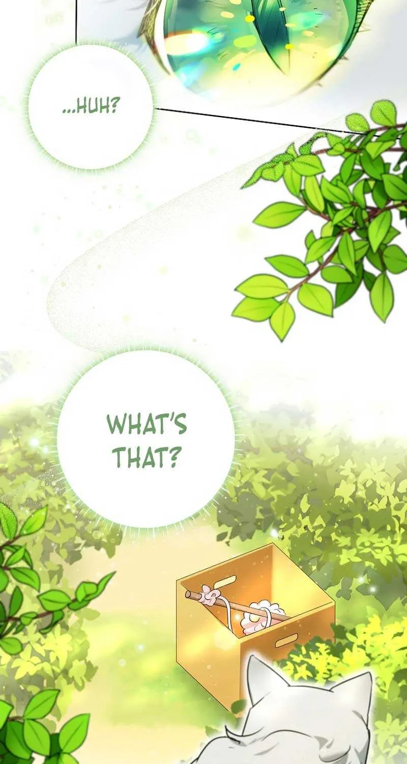 Even Though I Transmigrated as a Villainess, I’d Rather Raise a Cat Chapter 9 page 25 - 
