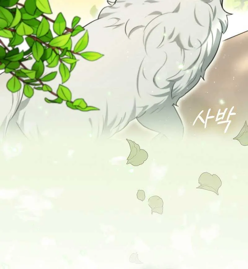 Even Though I Transmigrated as a Villainess, I’d Rather Raise a Cat Chapter 9 page 26 - 