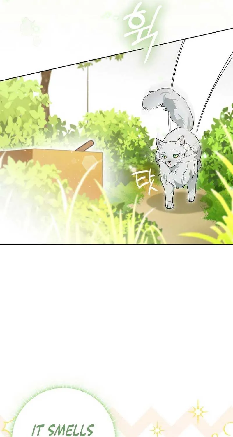 Even Though I Transmigrated as a Villainess, I’d Rather Raise a Cat Chapter 9 page 41 - 