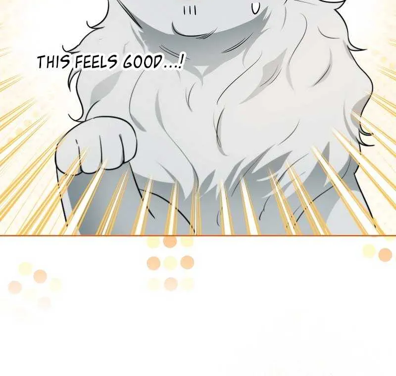 Even Though I Transmigrated as a Villainess, I’d Rather Raise a Cat Chapter 9 page 47 - 